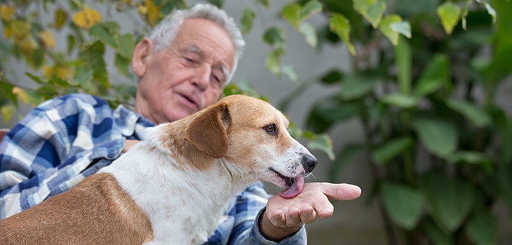 Spreading Smiles: Activities That Bring Joy to Seniors
